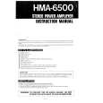 HITACHI HMA-6500 Instrukcja Obsługi